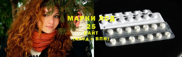 apvp Няндома