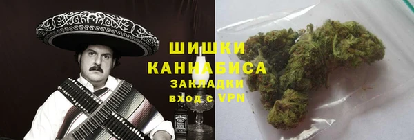 амф Бердск